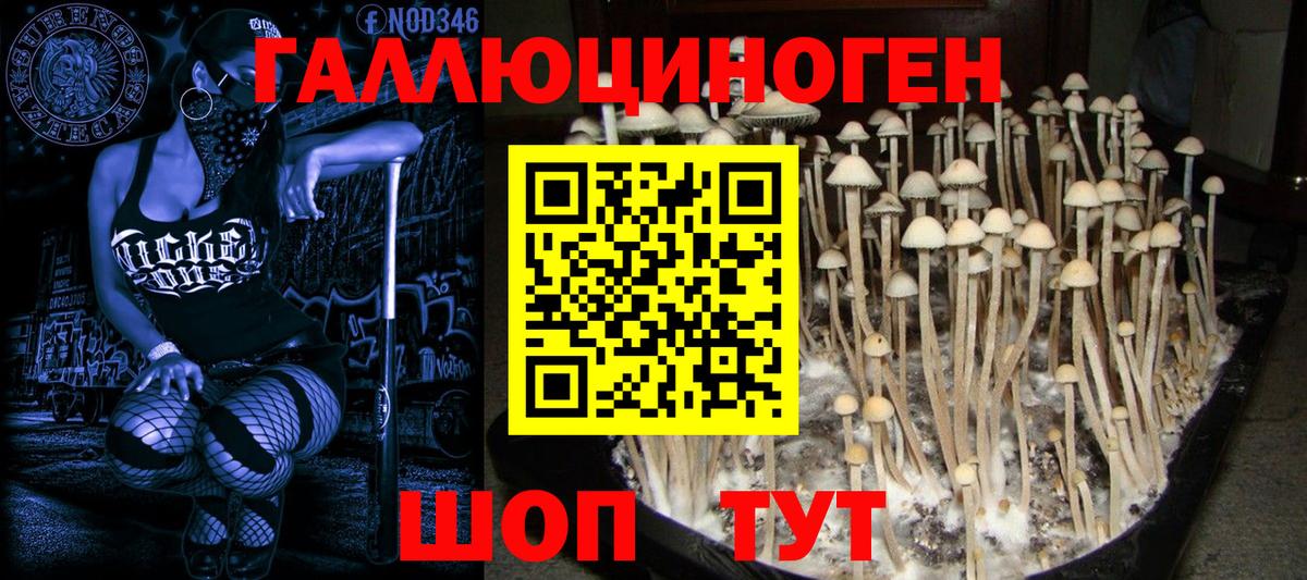 Спасск-Дальний  Псилоцибиновые грибы ЛСД  Вход с VPN  Галлюциногенные грибы мухоморы 