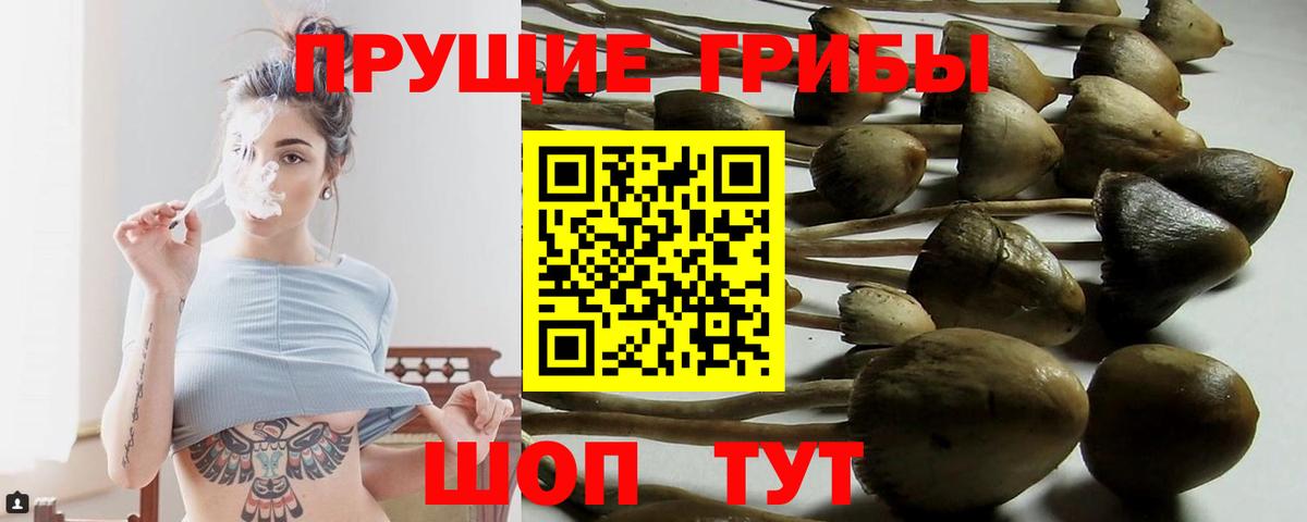 Псилоцибиновые грибы мухоморы Спасск-Дальний